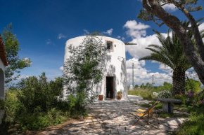 NEW! Windmill in the midst of nature